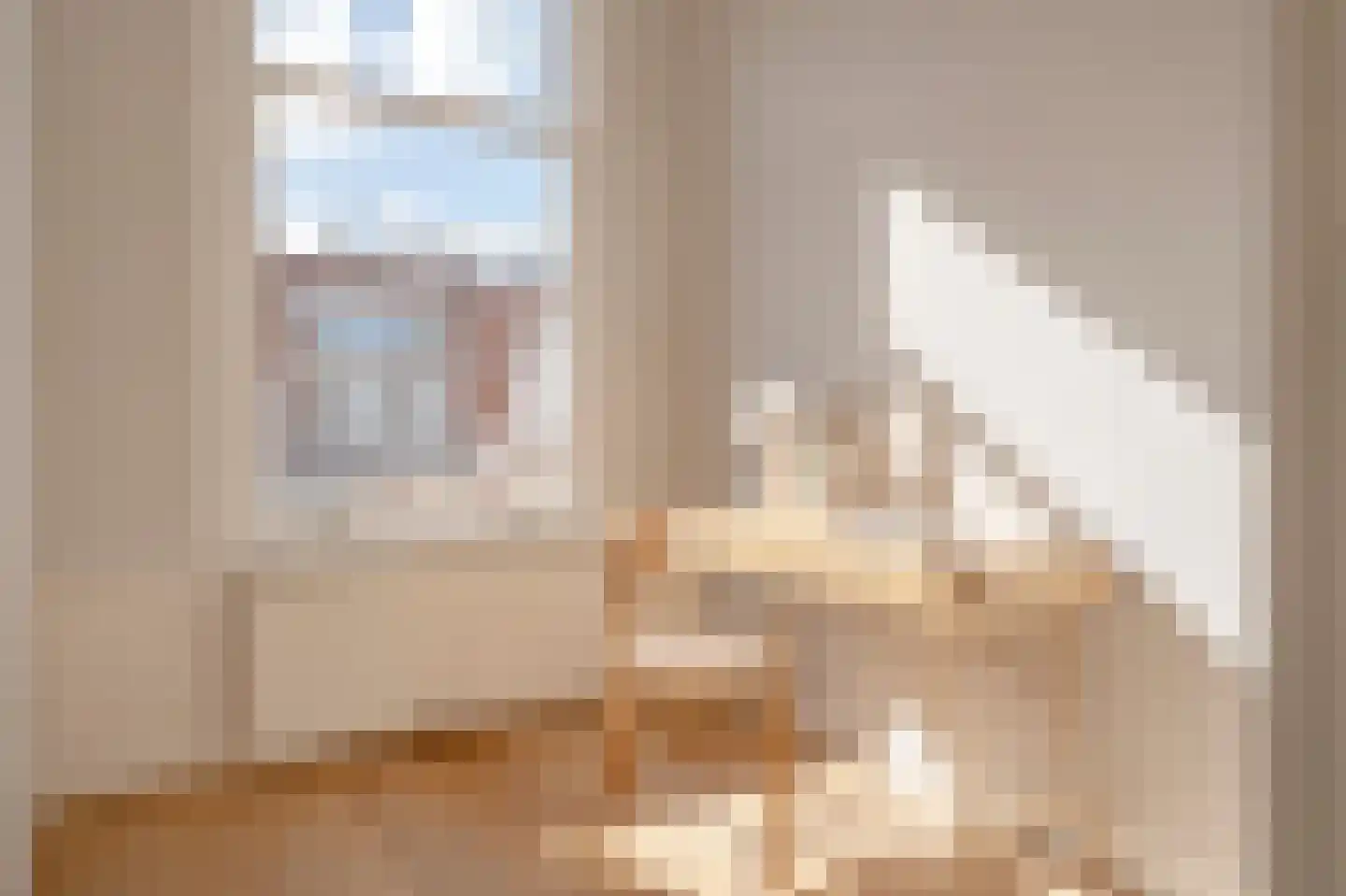 Snelliusstraat 7 Den Haag thumbnail 29