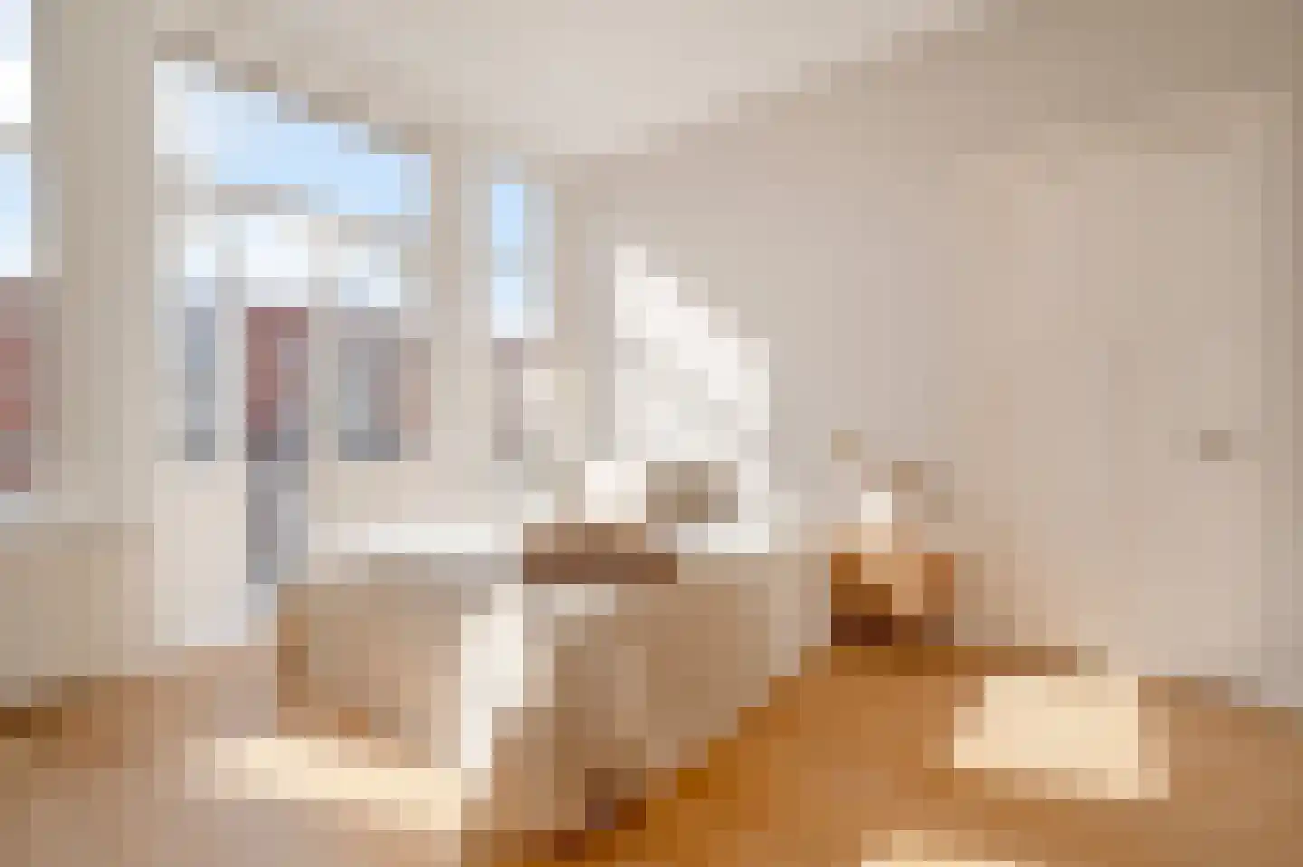 Snelliusstraat 7 Den Haag thumbnail 31