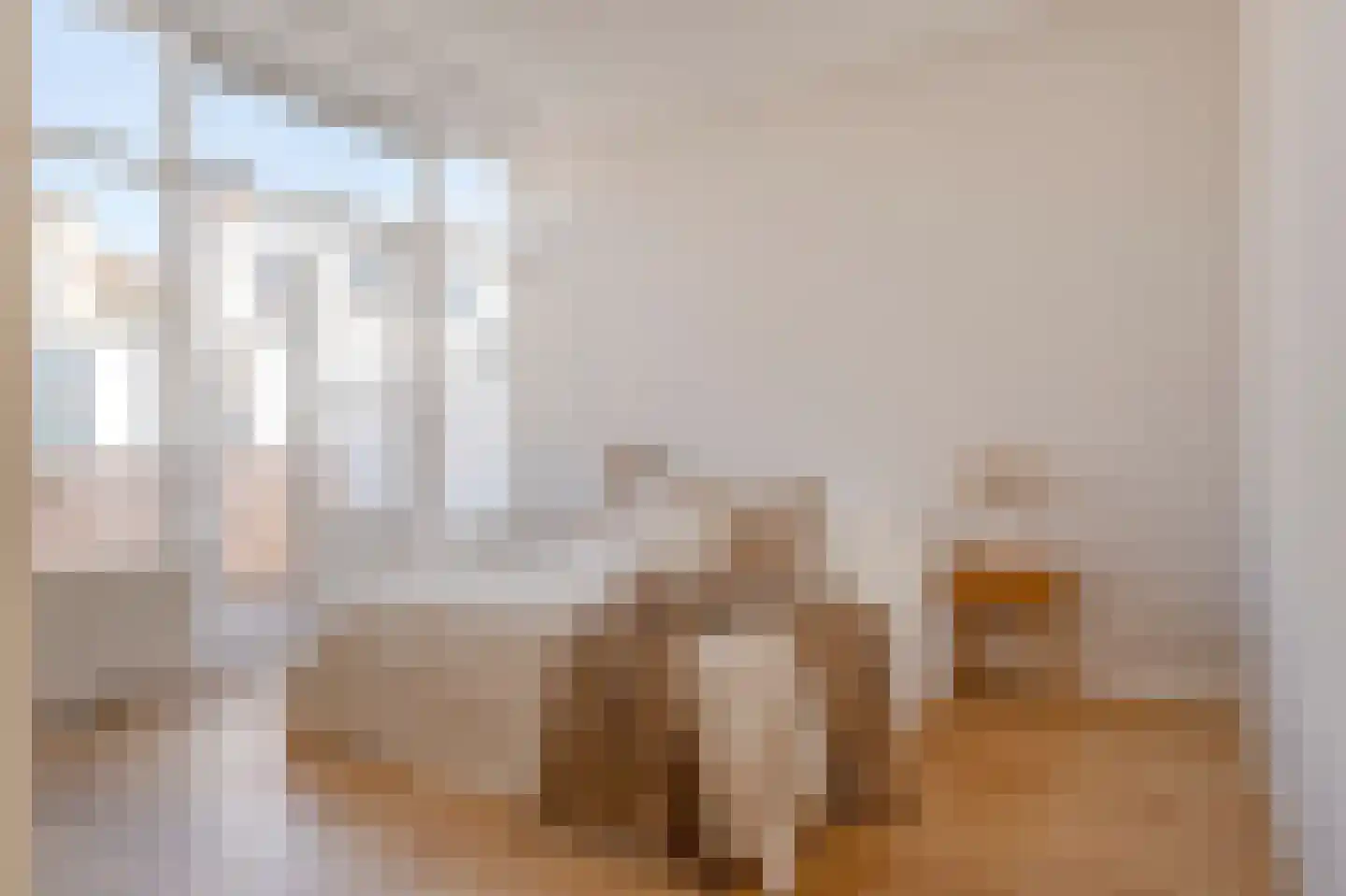 Snelliusstraat 7 Den Haag thumbnail 37