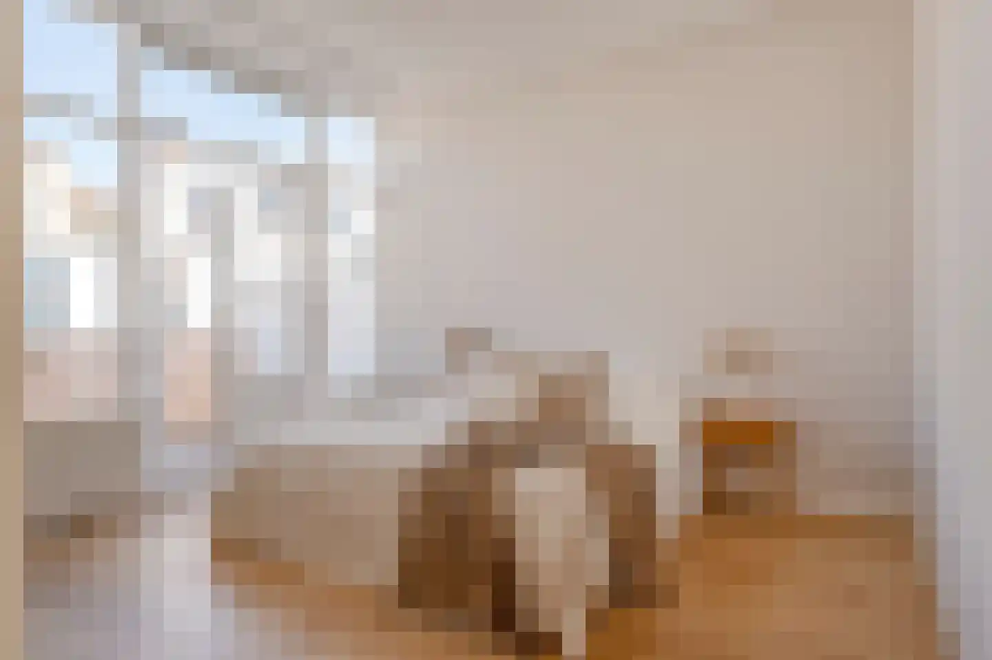 Snelliusstraat 7 Den Haag thumbnail 37