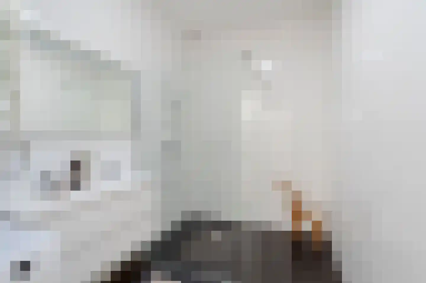 Snelliusstraat 7 Den Haag thumbnail 42