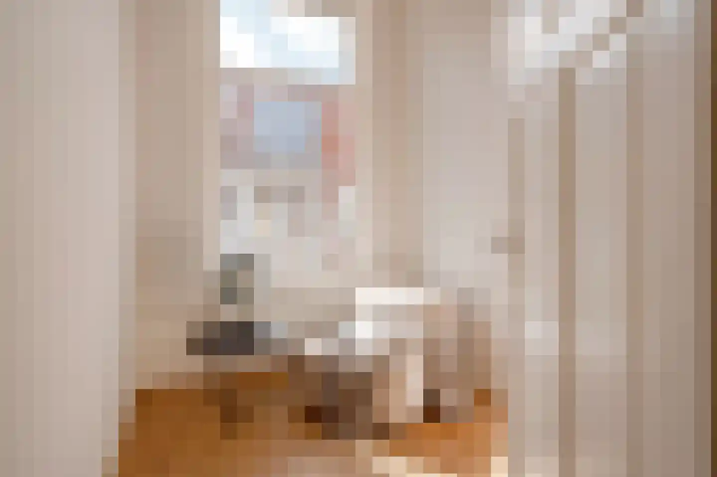 Snelliusstraat 7 Den Haag thumbnail 7
