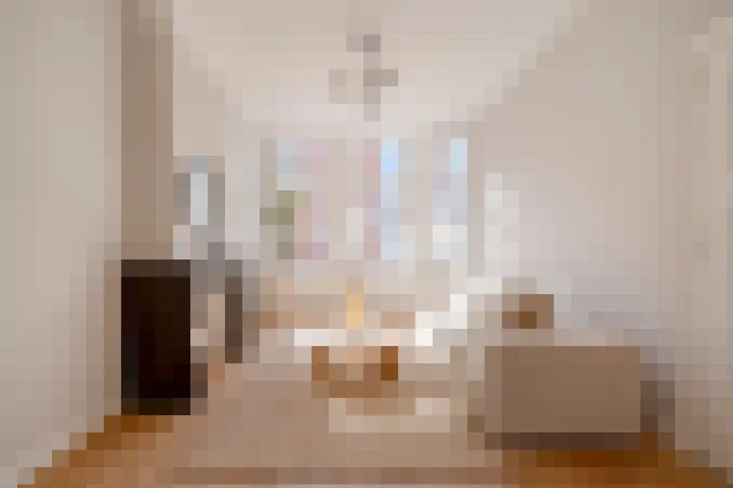 Snelliusstraat 7 Den Haag thumbnail 8