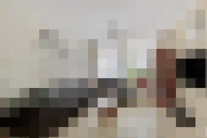 Snelliusstraat 8 Bergen op Zoom thumbnail 10
