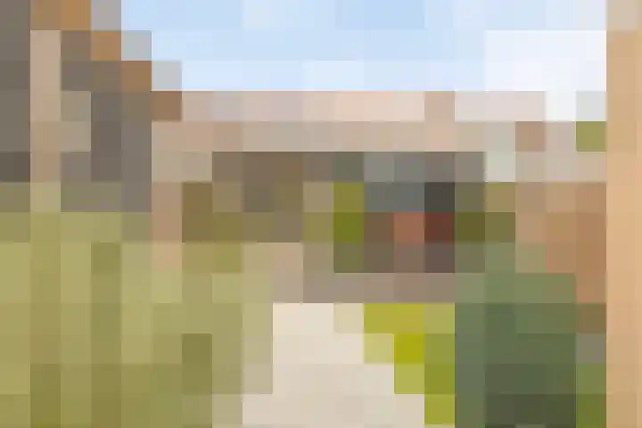 Snelliusstraat 8 Bergen op Zoom thumbnail 5