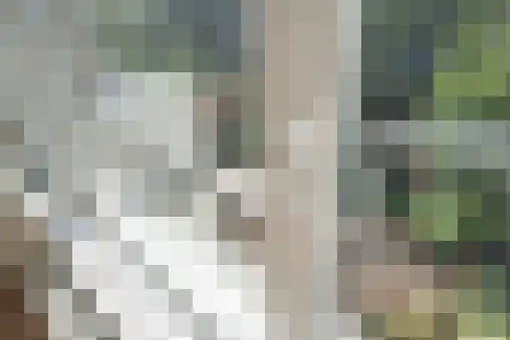 Snelliusstraat 84 Den Haag thumbnail 11