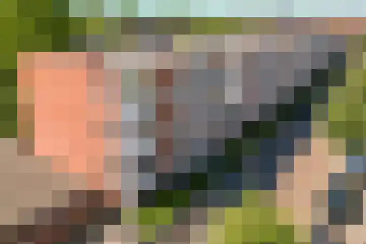 Snelliusstraat 87 Groningen thumbnail 31