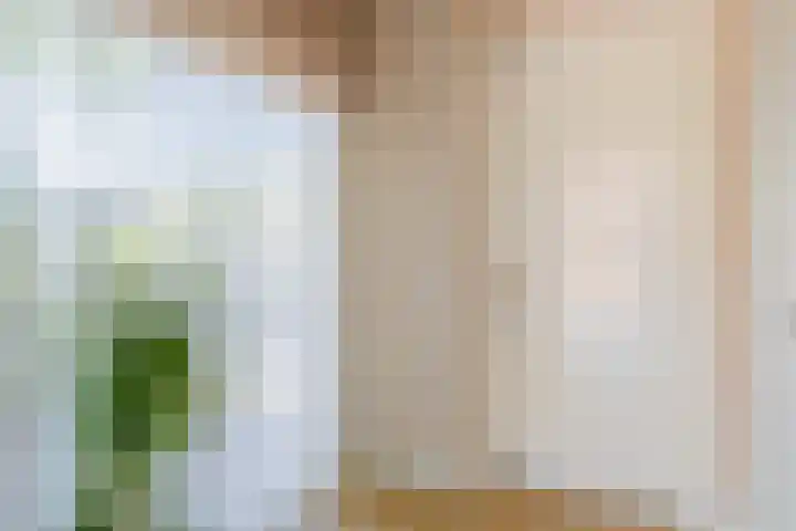 Snelrewaard 2 Capelle aan den IJssel thumbnail 10
