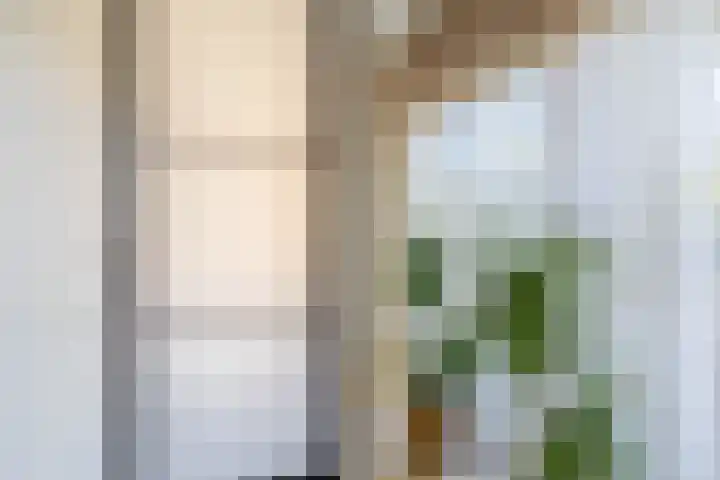 Snelrewaard 2 Capelle aan den IJssel thumbnail 11