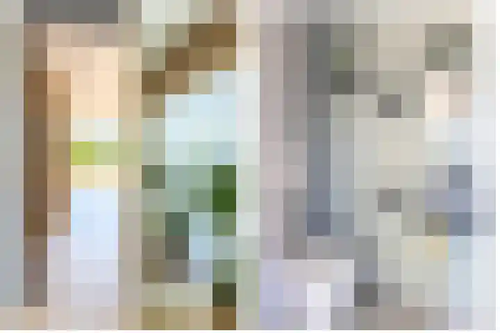 Snelrewaard 2 Capelle aan den IJssel thumbnail 13