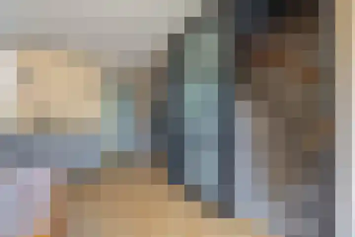 Snelrewaard 2 Capelle aan den IJssel thumbnail 14