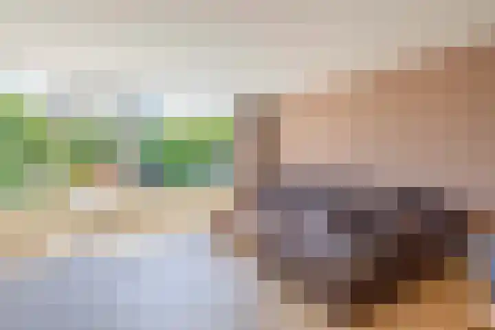 Snelrewaard 2 Capelle aan den IJssel thumbnail 15