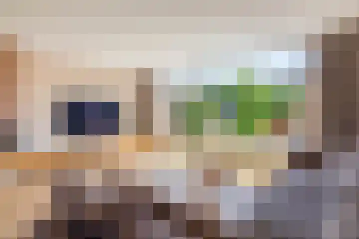 Snelrewaard 2 Capelle aan den IJssel thumbnail 16