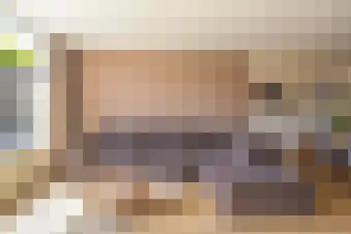 Snelrewaard 2 Capelle aan den IJssel thumbnail 19