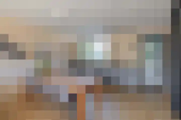 Snelrewaard 2 Capelle aan den IJssel thumbnail 20