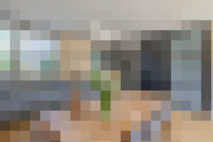 Snelrewaard 2 Capelle aan den IJssel thumbnail 21