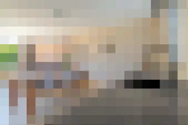 Snelrewaard 2 Capelle aan den IJssel thumbnail 24