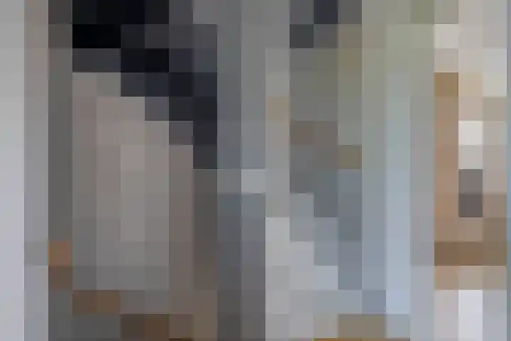 Snelrewaard 2 Capelle aan den IJssel thumbnail 25
