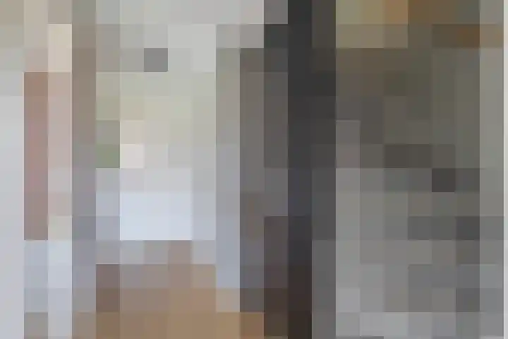 Snelrewaard 2 Capelle aan den IJssel thumbnail 26