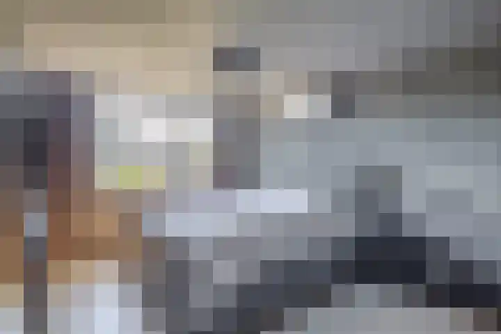 Snelrewaard 2 Capelle aan den IJssel thumbnail 27