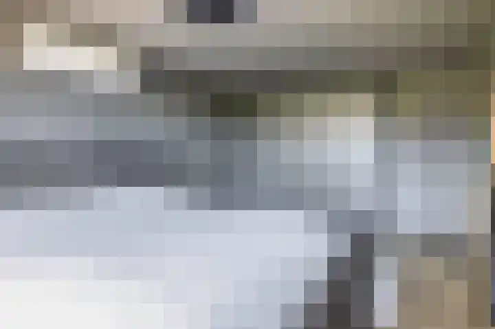 Snelrewaard 2 Capelle aan den IJssel thumbnail 28