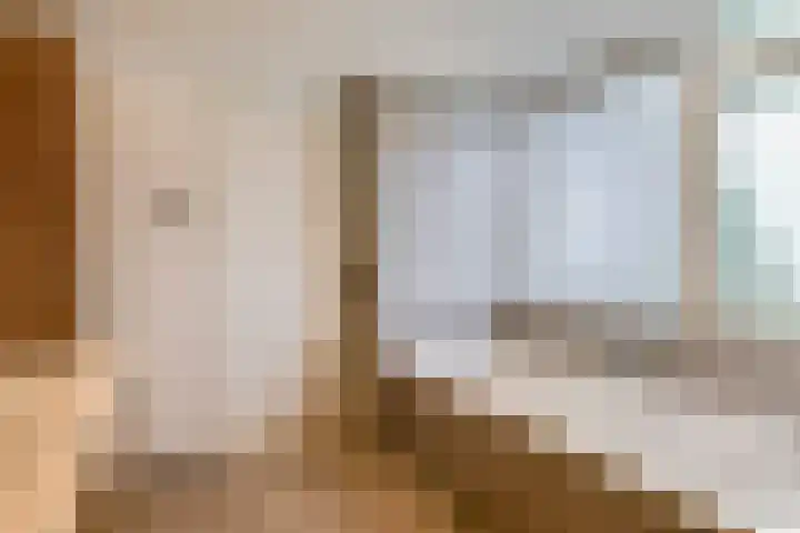 Snelrewaard 2 Capelle aan den IJssel thumbnail 31