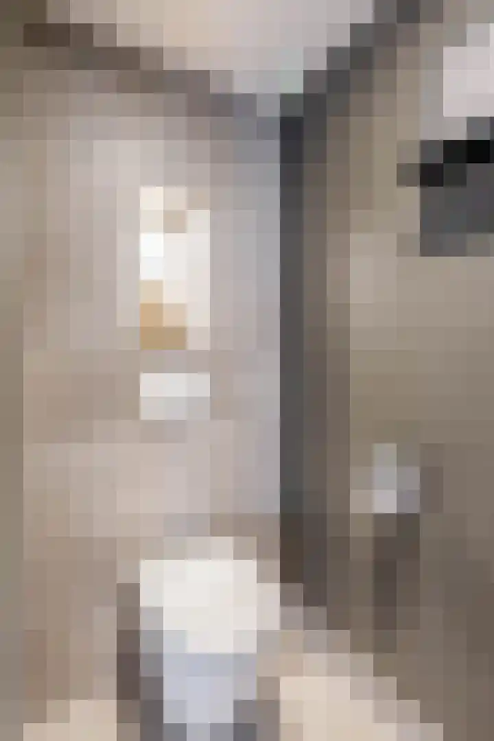 Snelrewaard 2 Capelle aan den IJssel thumbnail 32