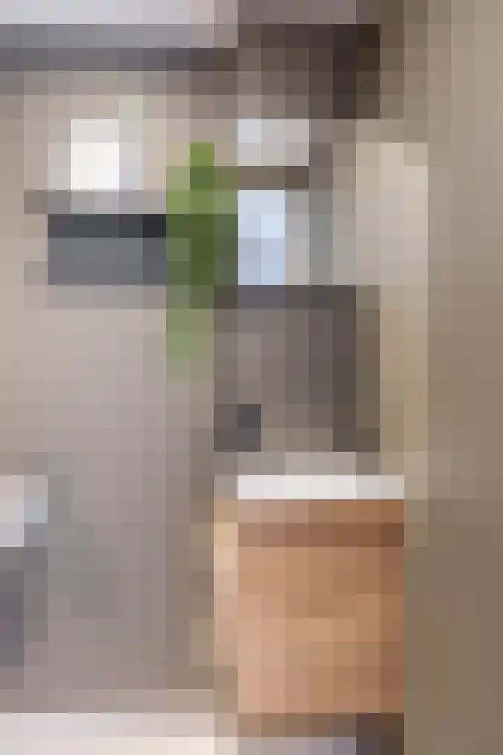 Snelrewaard 2 Capelle aan den IJssel thumbnail 33
