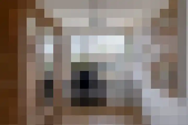 Snelrewaard 2 Capelle aan den IJssel thumbnail 34