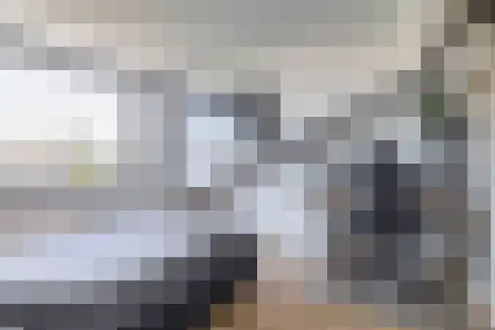 Snelrewaard 2 Capelle aan den IJssel thumbnail 38
