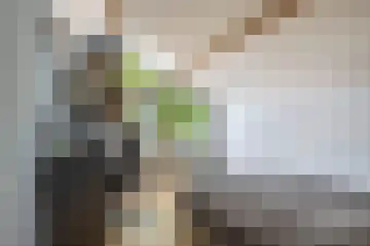 Snelrewaard 2 Capelle aan den IJssel thumbnail 39