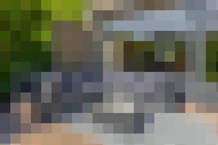 Snelrewaard 2 Capelle aan den IJssel thumbnail 4