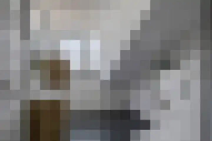 Snelrewaard 2 Capelle aan den IJssel thumbnail 40