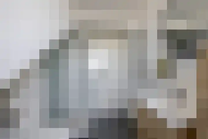 Snelrewaard 2 Capelle aan den IJssel thumbnail 42
