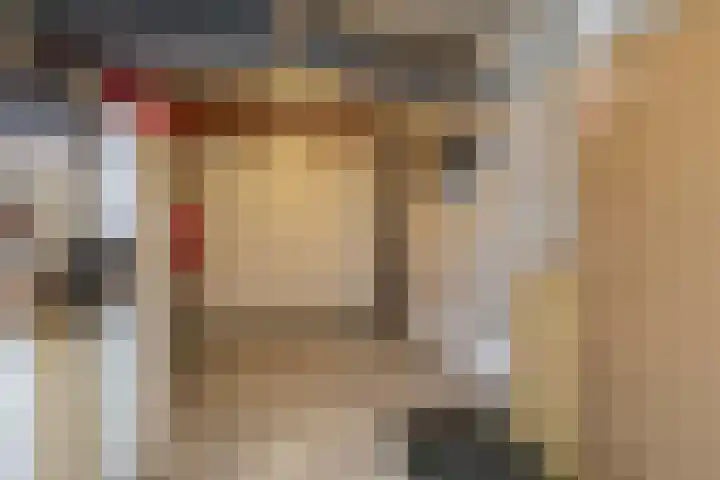 Snelrewaard 2 Capelle aan den IJssel thumbnail 43