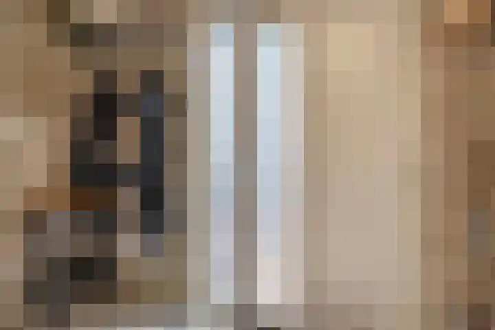 Snelrewaard 2 Capelle aan den IJssel thumbnail 44