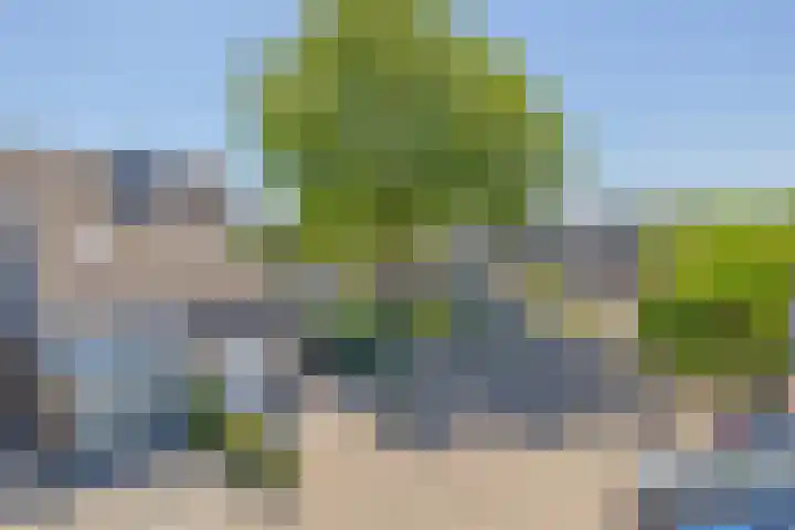 Snelrewaard 2 Capelle aan den IJssel thumbnail 50