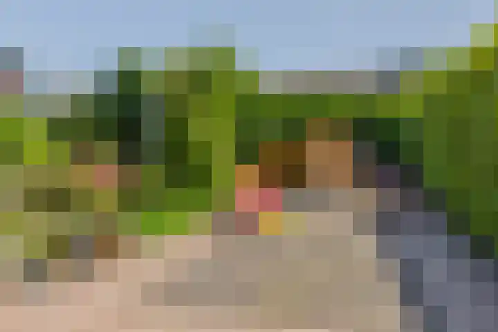 Snelrewaard 2 Capelle aan den IJssel thumbnail 52