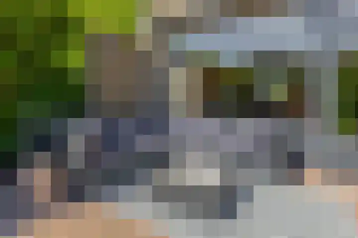Snelrewaard 2 Capelle aan den IJssel thumbnail 53