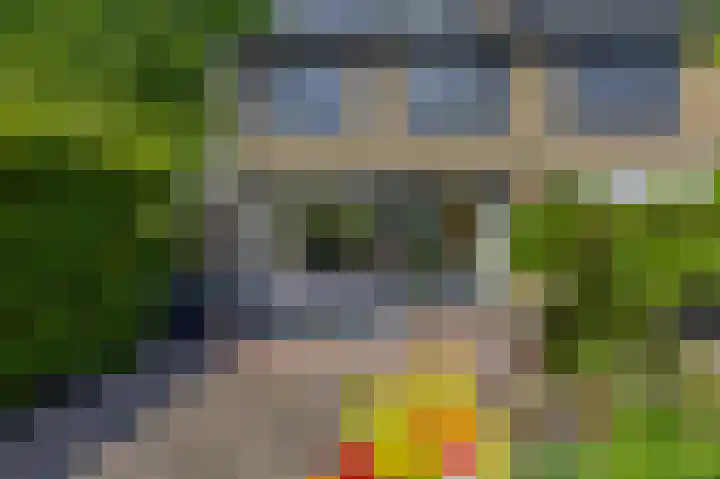 Snelrewaard 2 Capelle aan den IJssel thumbnail 55