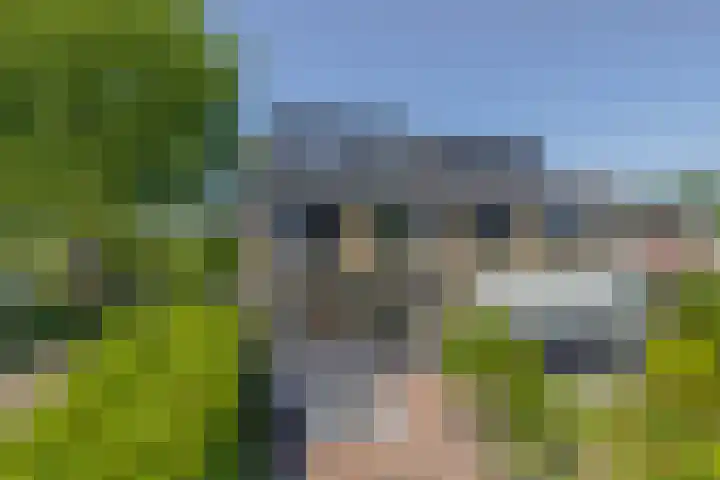 Snelrewaard 2 Capelle aan den IJssel thumbnail 56