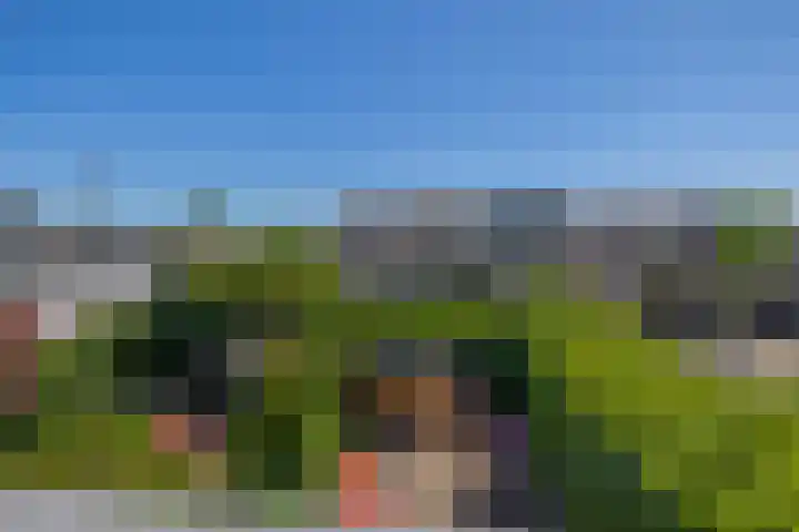 Snelrewaard 2 Capelle aan den IJssel thumbnail 57