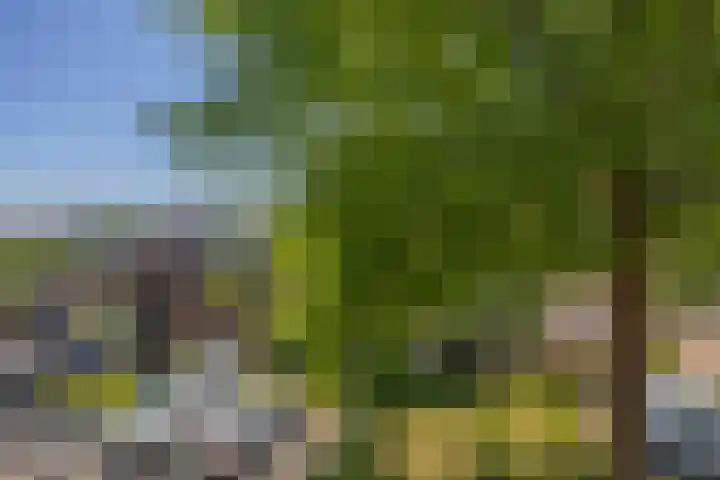 Snelrewaard 2 Capelle aan den IJssel thumbnail 58
