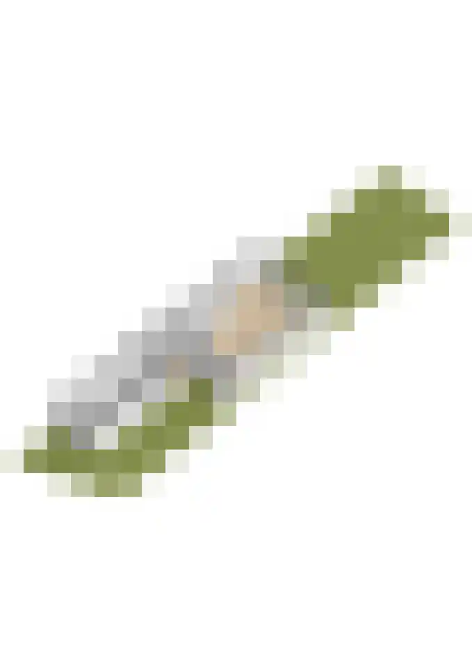 Snelrewaard 2 Capelle aan den IJssel thumbnail 60