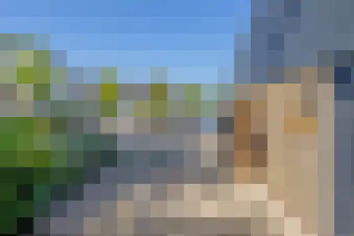 Snelrewaard 2 Capelle aan den IJssel thumbnail 8