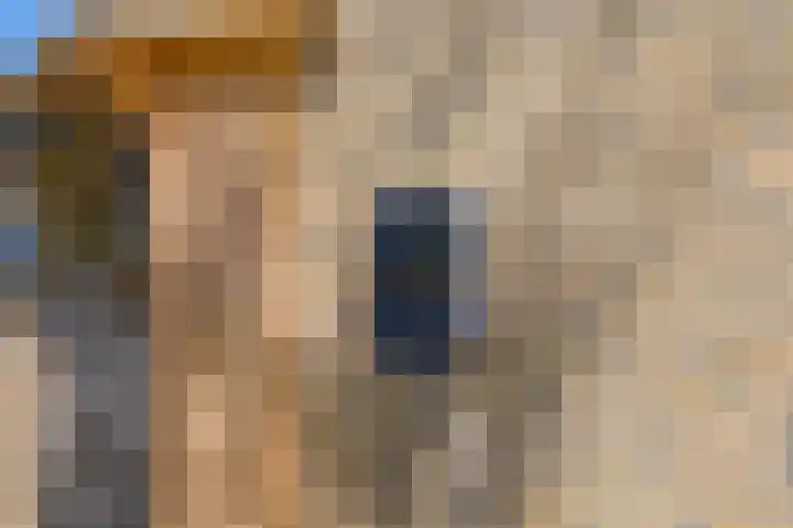 Snelrewaard 2 Capelle aan den IJssel thumbnail 9