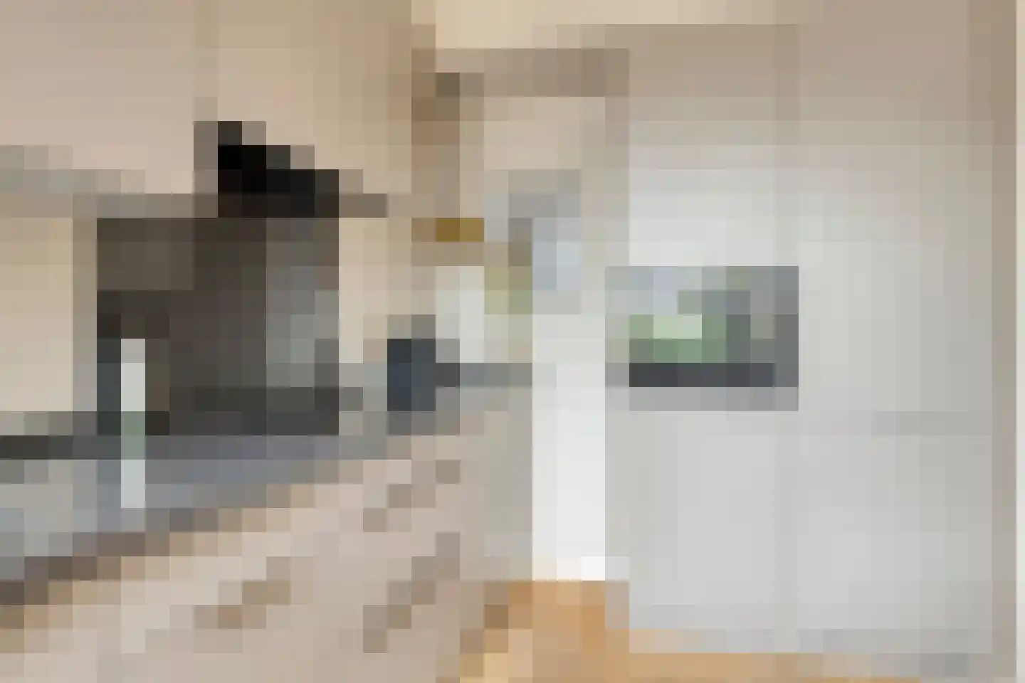 Snelrewaard 8 Capelle aan den IJssel thumbnail 11