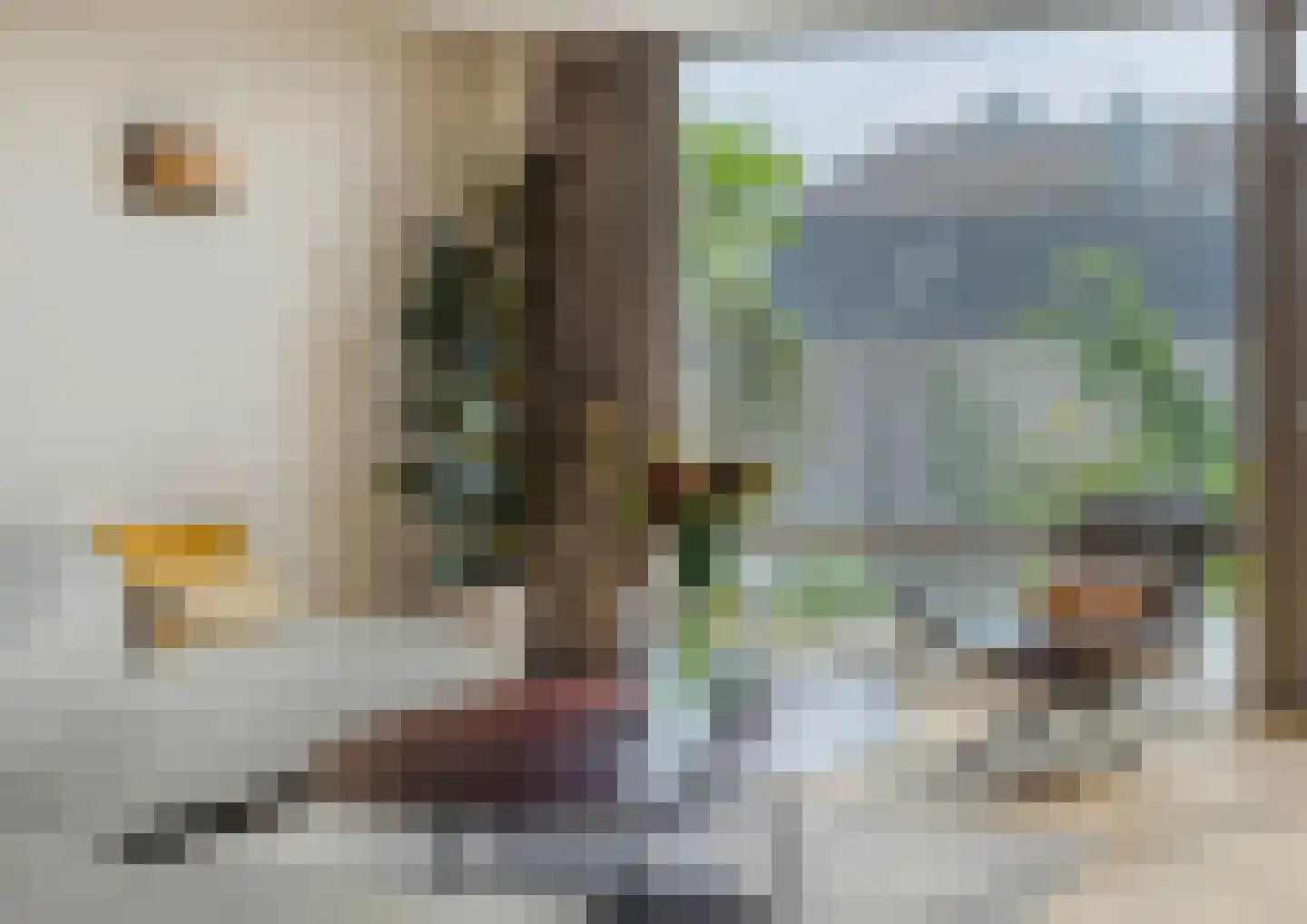 Snelrewaard 8 Capelle aan den IJssel thumbnail 13