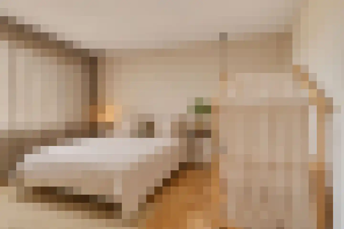 Snelrewaard 8 Capelle aan den IJssel thumbnail 16