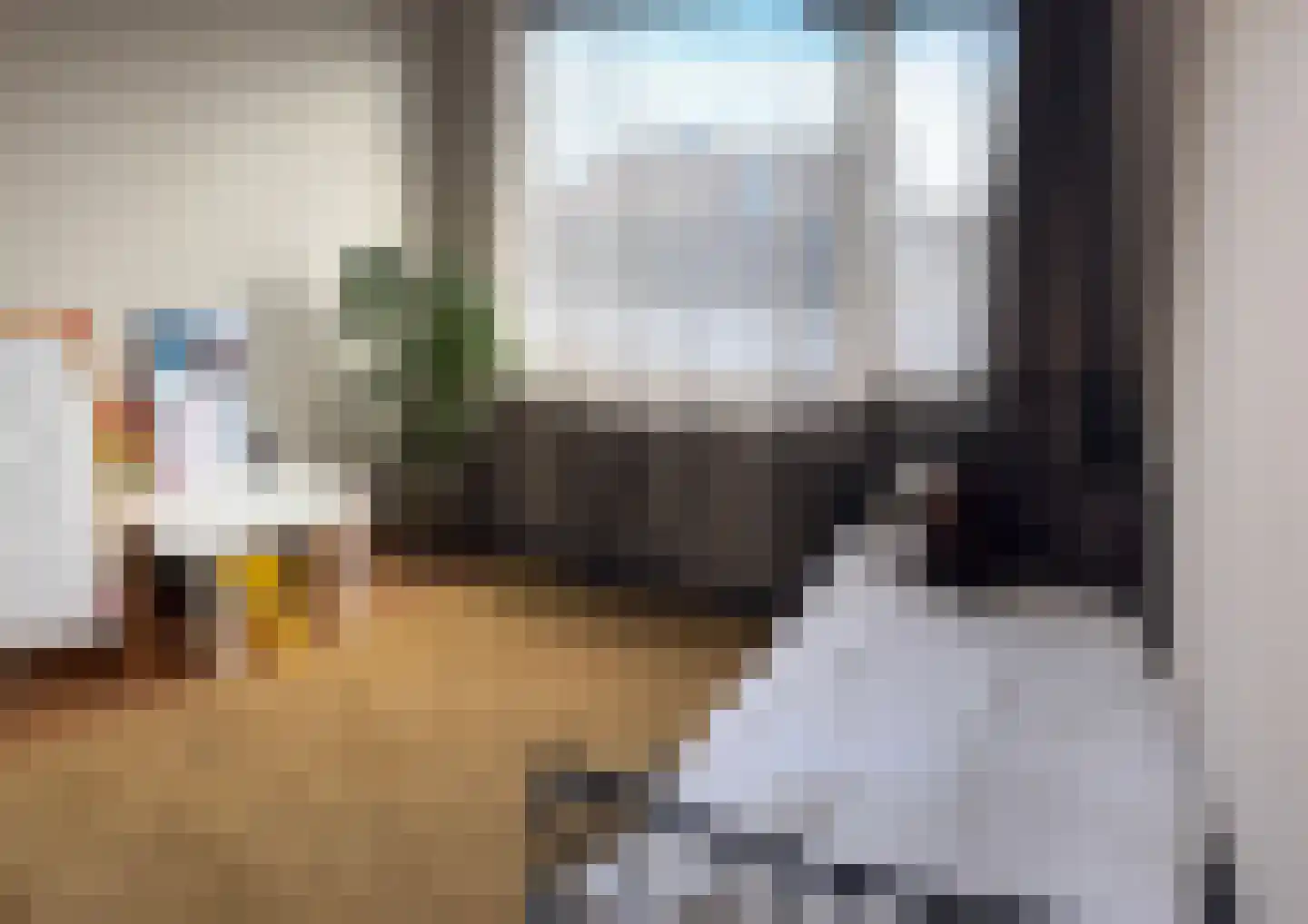Snelrewaard 8 Capelle aan den IJssel thumbnail 21